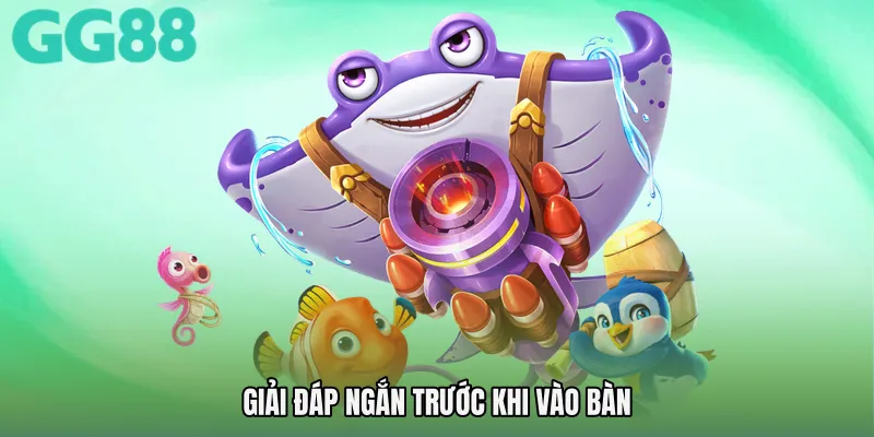 Giải đáp ngắn trước khi vào bàn