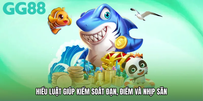 Hiểu luật giúp kiểm soát đạn, điểm và nhịp săn