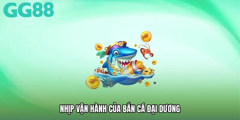 Nhịp vận hành của Bắn cá đại dương